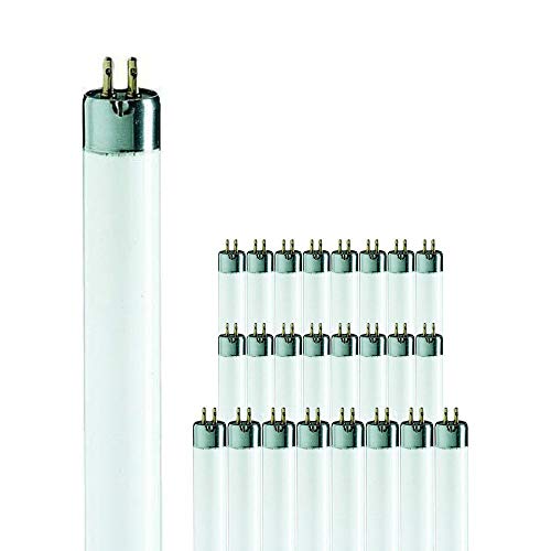 Philips Leuchtstoffröhre | Mehrfachpackung 25x T5 Short 8W - 640 Kaltweiß | 29cm von Philips