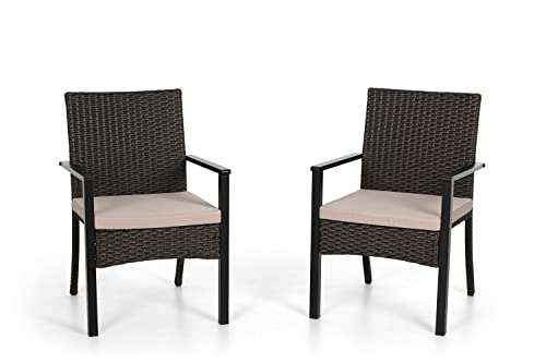 PHIVILLA 2er Set Gartenstuhl mit Kissen Stahlrahmen Outdoor Rattan Stuhl für Balkon Garten Hof Wasserdicht Rostfrei von PHIVILLA