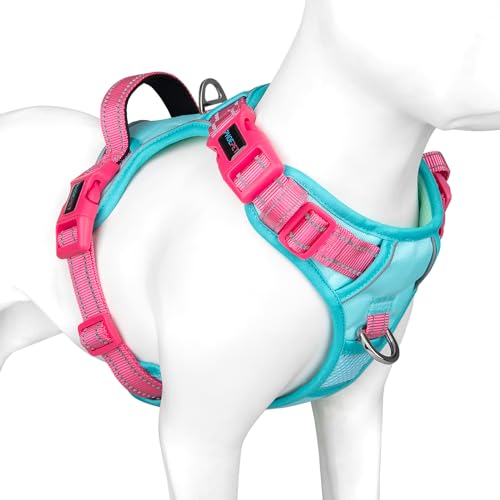 PHOEPET Anti-Zug Hundegeschirr verstellbar mit Reflektoren | Trainingsgriff & Metallclips für alle Hundegrößen(L,Minzgrüne Basis & Pinke Träger) von PHOEPET