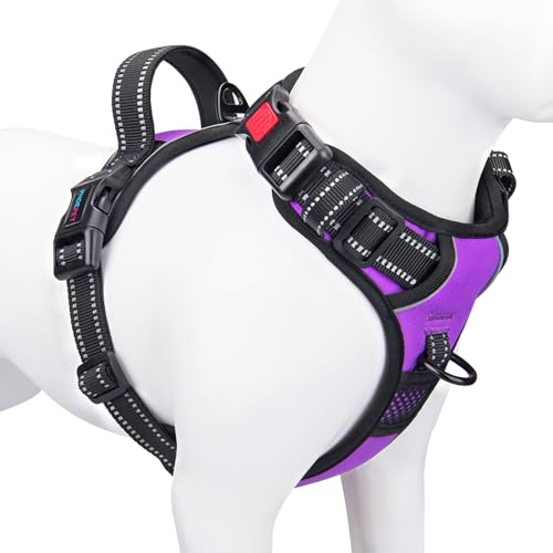 PHOEPET Hundegeschirre ohne Ziehen für kleine Hunde, reflektierend, verstellbare Front-Clip-Weste mit Griff, 2 Metallringe, 3 Schnallen [leicht an- und auszuziehen] (L, Violett) von PHOEPET