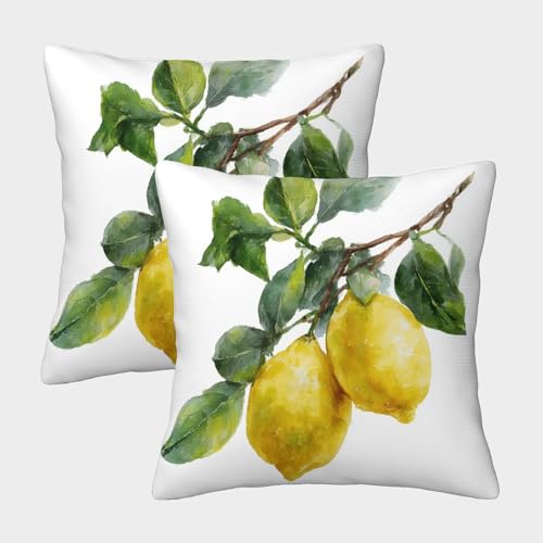 PHQAZWSXE Zitrone Kissenbezug 2r Set Kunst Sofakissen Kissenhüllen HeimdekoRatte ion Unsichtbarem Reißverschluss Schlafzimmer Outdoor 40x40cm PHQAZWSXE Zitrone Kissenbezug 2r Set Kunst Sofakissen Kissenhüllen HeimdekoRatte ion Unsichtbarem Reißverschluss Schlafzimmer Outdoor 40x40cm von PHQAZWSXE