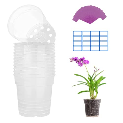 PHUNAT 12 transparente Kunststoff-Blumentöpfe, 11,5 cm, harte, klare Blumentöpfe, klarer Orchideentopf mit Drainagelöchern, Orchideen-Blumentopf, Blumenpflanzenbehälter für drinnen und draußen von PHUNAT