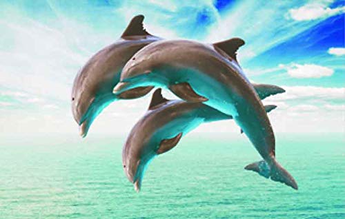 3 D Platzset Delfine, 2erSet, Tischset, Delfin, Tier Tiere von PIA INTERNATIONAL