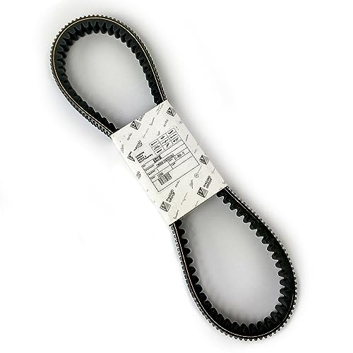 832738 Antriebsriemen Piaggio Beverly 400 500 APRILIA ATLANTIC 400/500 832738 Antriebsriemen Piaggio Beverly 400 500 APRILIA ATLANTIC 400/500 von PIAGGIO