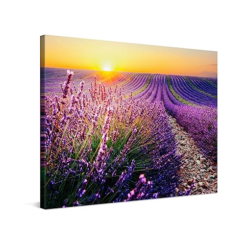 PICANOVA – Leinwandbild 80x60cm Lavendelfeld Sonnenuntergang – Leinwanddruck – Wandbild Kunstdruck Auf 2cm Holz-Keilrahmen Für Schlaf- Und Wohnzimmer Wanddekoration – Bild auf Leinwand von PICANOVA