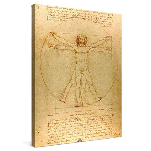 PICANOVA – Leonardo da Vinci – Vitruvian Man 60x80cm – Bild auf Leinwand – Premium Kunstdruck Auf 2cm Holz-Keilrahmen Für Schlaf- Und Wohnzimmer – Klassische Kunst von PICANOVA