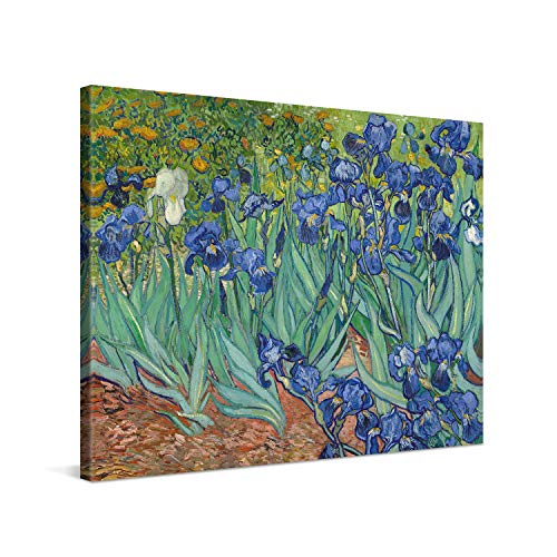 PICANOVA – Vincent Van Gogh Irises 40x30 cm – Bild auf Leinwand – Leinwandbild – Premium Leinwanddruck – Kunstdruck Auf 2cm Holz-Keilrahmen Für Schlaf- Und Wohnzimmer von PICANOVA