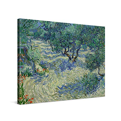 PICANOVA – Vincent Van Gogh Olive Orchard 100x75 cm – Bild auf Leinwand – Leinwandbild – Premium Leinwanddruck – Kunstdruck Auf 2cm Holz-Keilrahmen Für Schlaf- Und Wohnzimmer von PICANOVA