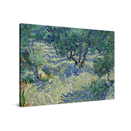 PICANOVA – Vincent Van Gogh Olive Orchard 60x40 cm – Bild auf Leinwand – Leinwandbild – Premium Leinwanddruck – Kunstdruck Auf 2cm Holz-Keilrahmen Für Schlaf- Und Wohnzimmer von PICANOVA