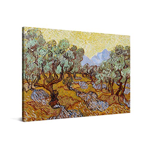 PICANOVA – Vincent Van Gogh Olive Trees 60x40 cm – Bild auf Leinwand – Leinwandbild – Premium Leinwanddruck – Kunstdruck Auf 2cm Holz-Keilrahmen Für Schlaf- Und Wohnzimmer von PICANOVA