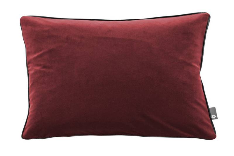 PICHLER Kissenhülle Samtkissen mit Keder uni Kissenhülle 2er Set 51 x 31 cm SALON Rechtec, (2 Stück), Kissenbezug für Dekokissen Zierkissen Kissenhülle von PICHLER