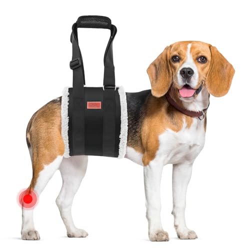 Verstellbarer Hunde Tragehilfe, Tragbarer Tragegurt zur Rehabilitation von mittleren und großen Hunden - Gehhilfe mit Griffen als Sicherheitsunterstützung für behinderte, verletzte oder ältere Hunde von PICK FOR LIFE