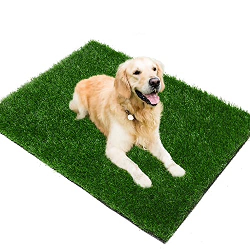 Graspolster für Hunde 99,8 x 50 cm, starke Saugfähigkeit, weiches und echtes Gras für Haustiere, Töpfchentraining, leicht zu reinigen, Kunstrasen für Hunde, Innen- und Außenbereich (1 Packung) von PICK FOR LIFE