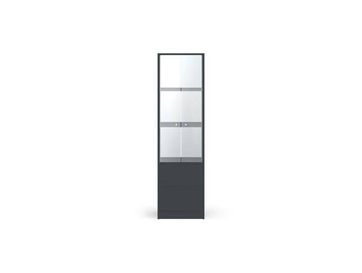 Schmaler Vitrinenschrank nach Maß - Vitrine mit vielen Optionen Premium Dekore von PICKAWOOD