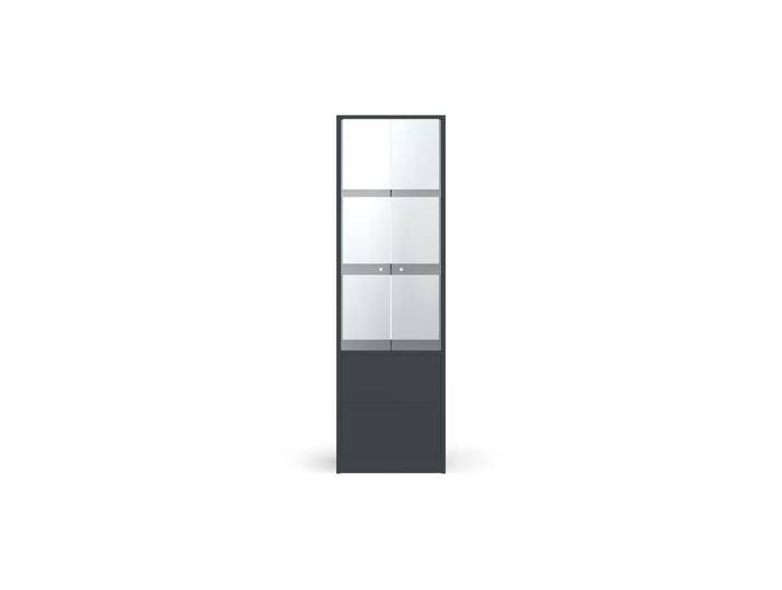 Schmaler Vitrinenschrank nach Maß - Vitrine mit vielen Optionen Premium Dekore von PICKAWOOD