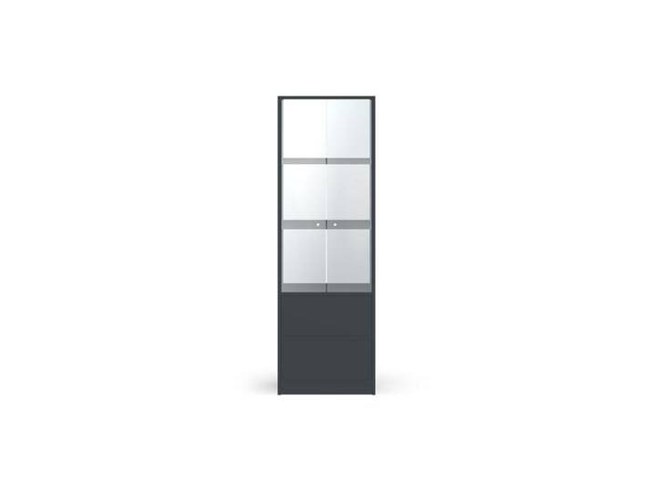 Schmaler Vitrinenschrank nach Maß - Vitrine mit vielen Optionen Premium Dekore von PICKAWOOD