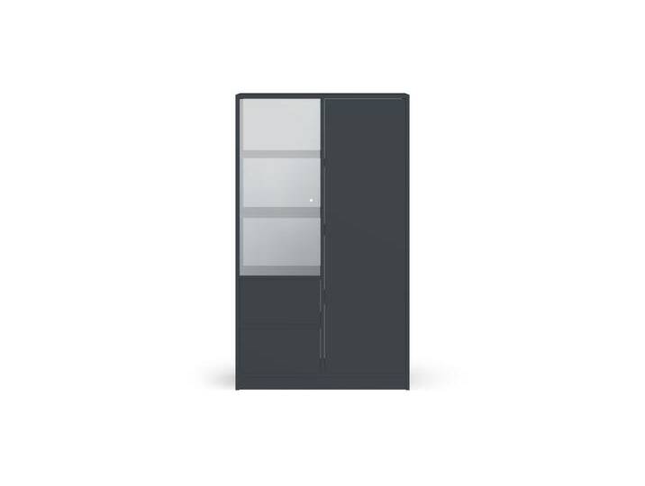 Stylisher Vitrinenschrank nach Maß Premium Dekore von PICKAWOOD