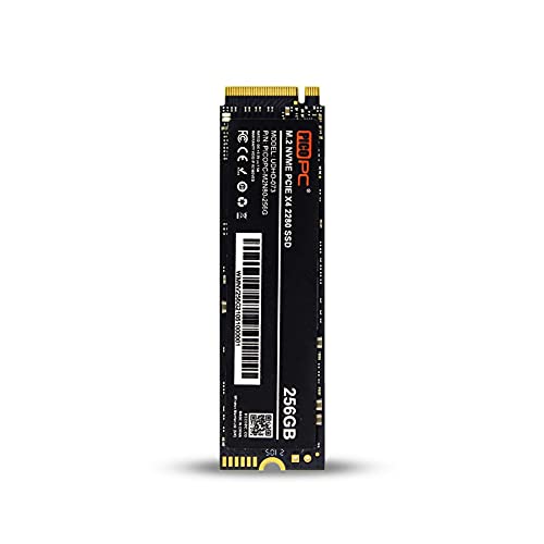 PICOPC 256 GB High Performance interne Solid State Drive M.2 (2280) PCIe NVMe SSD von PICOPC