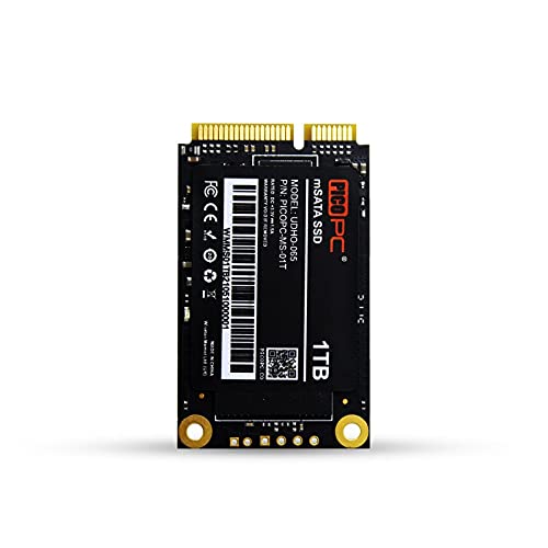 PICOPC SSD 1TB mSATA 3.0 (6Gb/s) SSD 3D NAND SATA3 interne Solid State Drive von PICOPC