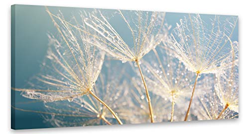 PICSonPAPER Leinwandbild Pusteblume 110 cm x 50 cm, Dekoration, Kunstdruck, Wandbild, Leinwand Blume, Natur von PICSonPAPER