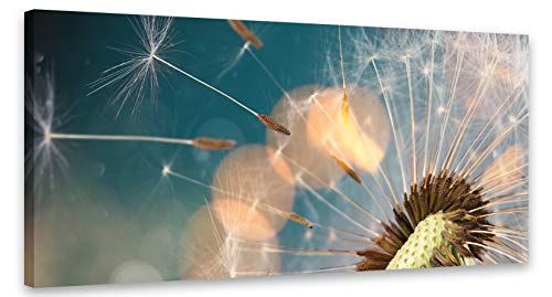 PICSonPAPER Leinwandbild Pusteblume 110 cm x 50 cm, Dekoration, Kunstdruck, Wandbild, Leinwand Blume, Natur von PICSonPAPER