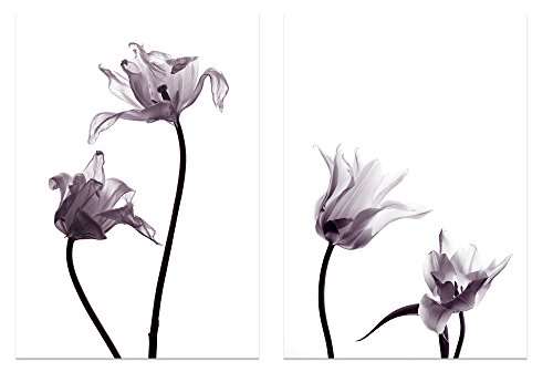 PICSonPAPER Poster 2er-Set Tulpen, ungerahmt 30 cm x 40 cm, Dekoration, Kunstdruck, Wandbild, Geschenk (Ungerahmt 30 cm X 40 cm) von Deqosy