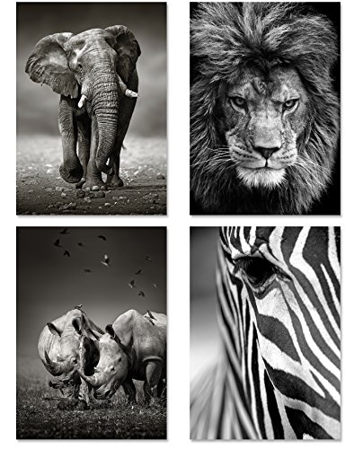 PICSonPAPER Poster 4er-Set Wildlife, ungerahmt DIN A3, Dekoration fürs Wohnzimmer oder Büro, Dekoposter, Kunsstdruck, Wandbild, Elefant, Löwe, Nashorn, Zebra, schwarz Weiss, Geschenk (Format DIN A3) von PICSonPAPER