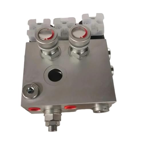 PIHWGUVD Hydraulisches Hebe- und Entladeaggregat DC12V DC24V der integrierten Ventilgruppe der LKW-Heckplatte(DC12V) von PIHWGUVD