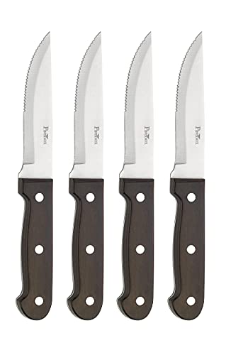 PINTINOX Set 4 jumbo Steakmesser mit Sägeschliff, Churrasco, Edelstahlklinge mit Pakka-Holzgriff von PINTINOX