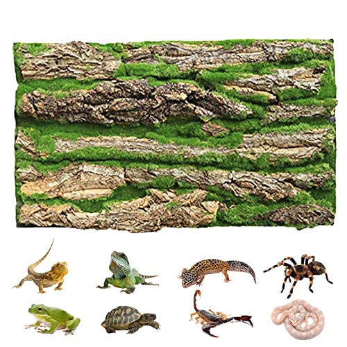 PINVNBY Reptilien-Kork-Terrarium-Hintergrund, Bartdrachen-Tank, natürliche Rinde, Wanddekoration mit künstlichem Moos, 59.9x39.9 cm, Reptilien-Teppich für Gecko, Eidechse, Chamäleon, 2 Stück von PINVNBY