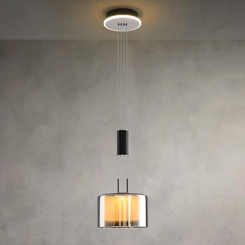 PIOUTNF Moderne Esstisch Pendelleuchte, Dimmbare Hängeleuchte, Esszimmerlampe Höhenverstellbar, Hängelampe Wohnzimmer, Küchenlampe Hängend mit Glas Lampenschirm und Fernbedienung von PIOUTNF