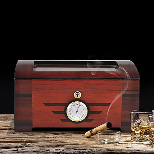 PIPITA Zigarren Humidor mit Hygrometer für ca. 60 Zigarren Premium Humidor mit Sichtfenster Barzubehör Humidore (PD078) von PIPITA