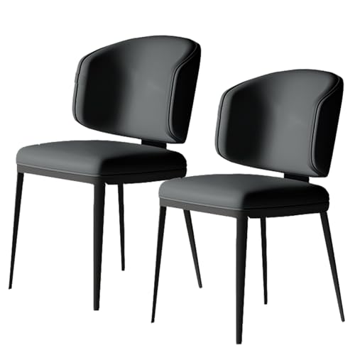 PIPOEI Küchenstühle 2er Set, Esszimmerstühle, Wohnzimmerstuhl Polsterstuhl, Metall Stuhl für Küche Esszimmer Lounge Wohnzimmer Schlafzimmer Dark Grey von PIPOEI