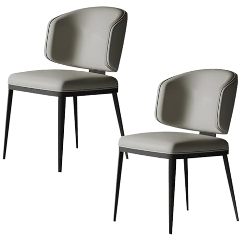 PIPOEI Küchenstühle 2er Set, Esszimmerstühle, Wohnzimmerstuhl Polsterstuhl, Metall Stuhl für Küche Esszimmer Lounge Wohnzimmer Schlafzimmer Light Grey von PIPOEI