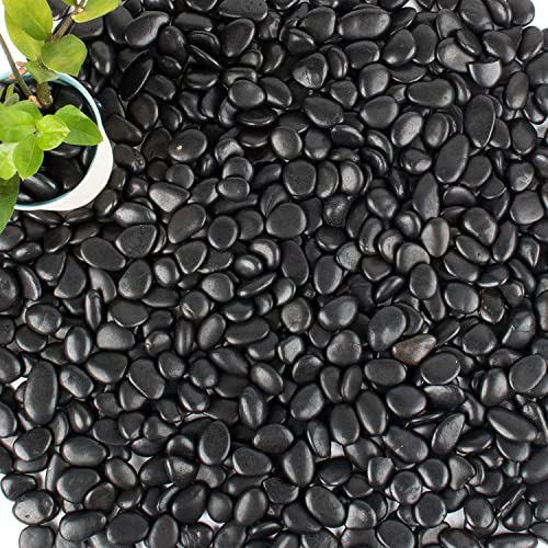 PIQIUQIU Schwarze Polierte Kieselsteine Steingarten Gehweg Garten Dekorative Steine 10-20mm 1KG von PIQIUQIU