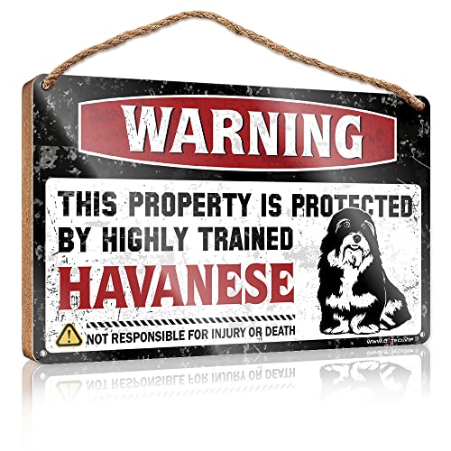 PITFS Vintage-Badschild mit Aufschrift "Warning This Property Is Protected By A Highly Trained Havaneser", Holzschild, 15 x 28 cm von PITFS