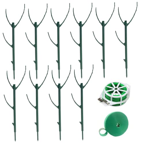 PIUpiuLIANG 1 festgelegte Stützpfahl sicher eingedickte robuste Pflanzenaufkleber mit Accessoires für Garten -Topfblumen -Innen- und Außenunterstützungsstufe PIUpiuLIANG 1 festgelegte Stützpfahl sicher eingedickte robuste Pflanzenaufkleber mit Accessoires für Garten -Topfblumen -Innen- und Außenunterstützungsstufe von PIUpiuLIANG