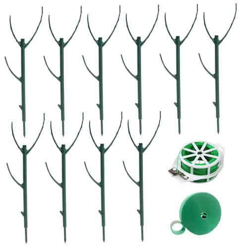 PIUpiuLIANG 1 festgelegte Stützpfahl sicher eingedickte robuste Pflanzenaufkleber mit Accessoires für Garten -Topfblumen -Innen- und Außenunterstützungsstufe von PIUpiuLIANG