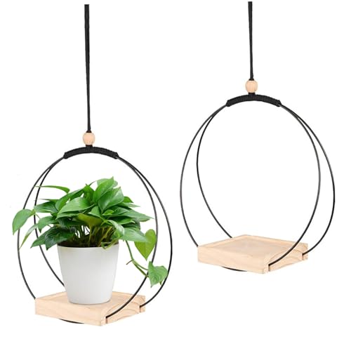 PIUpiuLIANG 2pcs Pflanzenbügel mit Holzbasi PIUpiuLIANG 2pcs Pflanzenbügel mit Holzbasi von PIUpiuLIANG