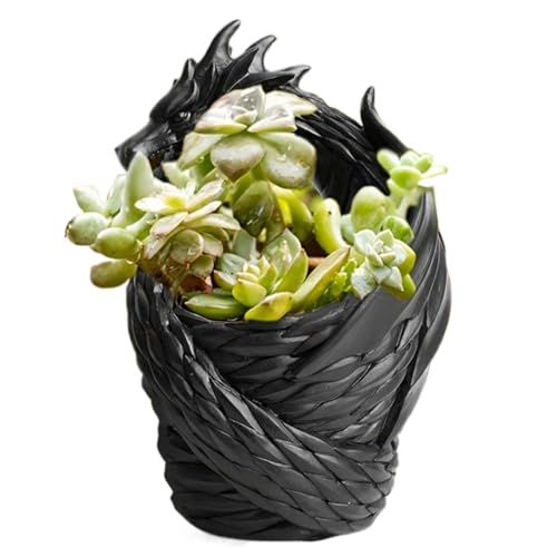 PIUpiuLIANG Sukkulente Töpfe Innovative Drachenmotiven Sukkulente Pflanzer Synthetische Harz Blumentöpfe Dekorative Gartenverzierung für Innen- und Außenbereiche PIUpiuLIANG Sukkulente Töpfe Innovative Drachenmotiven Sukkulente Pflanzer Synthetische Harz Blumentöpfe Dekorative Gartenverzierung für Innen- und Außenbereiche von PIUpiuLIANG