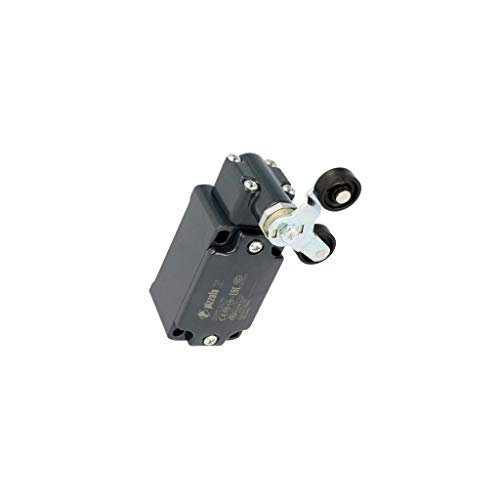 FD 542 Endschalter R 40 mm Hebel, Kunststoffrolle Ø 20 mm, doppelt PIZZATO ELETT von PIZZATO ELETTRICA