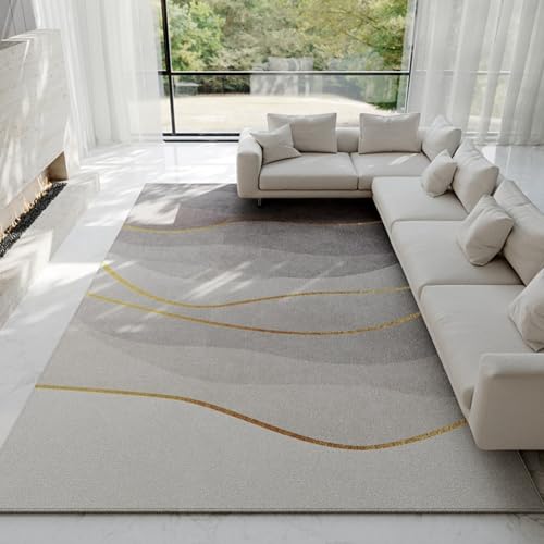 PIZZZENO Leichter, luxuriöser Lounge-Teppich, verdickte Matte, flauschig, weich, Schlafzimmerdekor, Nachttisch, Moderne, einfache Teppiche für das Wohnzimmer (200 x 300 cm/C) von PIZZZENO