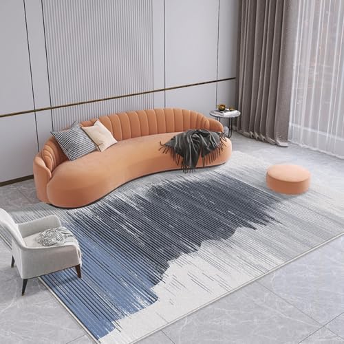 PIZZZENO Wohnzimmer-Dekorationsteppich, leichte Luxus-Teppiche für Schlafzimmer, waschbar, Lounge, weiche Bodenmatte, Garderobe (80 x 160 cm/C) von PIZZZENO