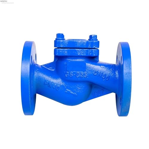 DN15 PN16 federbelastetes Gusskolben-Rückschlagventil, Wasserventil(0.5 Inch) von PJKTBEYI