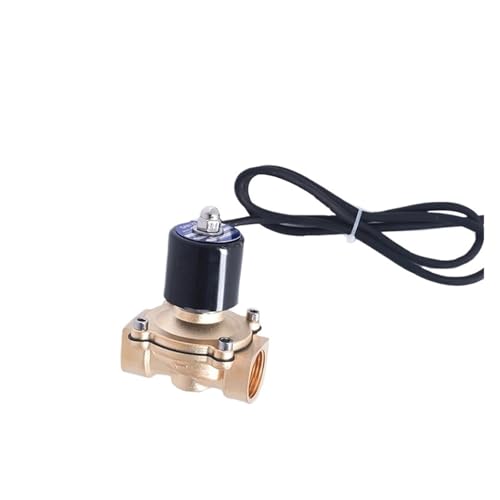 Messingsolenoid DC 24 V 1 Zoll for musikalischen Brunnen wasserdicht IP68 normalerweise geschlossen(Npt-24vdc,2A-25NBR) von PJVPEJOD