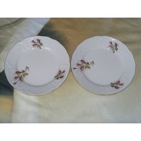 2Er Set Rosenthal Classic Rose Floral 9 3/4 Zoll Speiseteller Erhabenes Muster Gold Getrimmt von PKsLoft