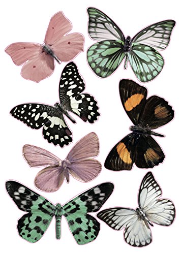 PLAGE Charming Butterfly Stickers 3D Decoration TRANSPARENT [7 Butterflies Between 8 x 6,5 cm and 14 x 11 cm], Plastik, Colorful, 14 x 0.1 x 11 cm, 7-Einheiten von PLAGE