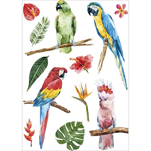 PLAGE Deko Wandaufkleber Brazil-Tropische Natur, Vinyl, Colorful, 68 x 0.1 x 47,7 cm von PLAGE