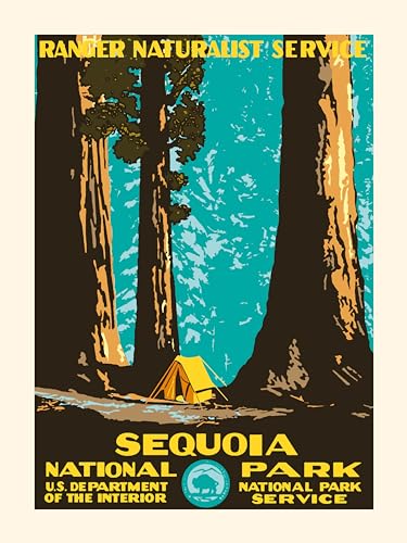 PLAKAT - Poster Sequoia (30 x 40 cm) von PLAKAT