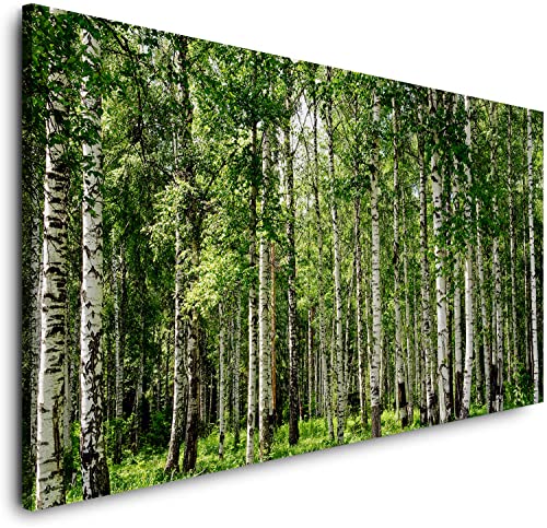 Leinwand-Bild BIRKEN-WALD-(013C)-100x75 cm-Foto-Kunst Fine Art Prints Canvas Wand-Bild Querformat von PLANET PHOTOWALLS